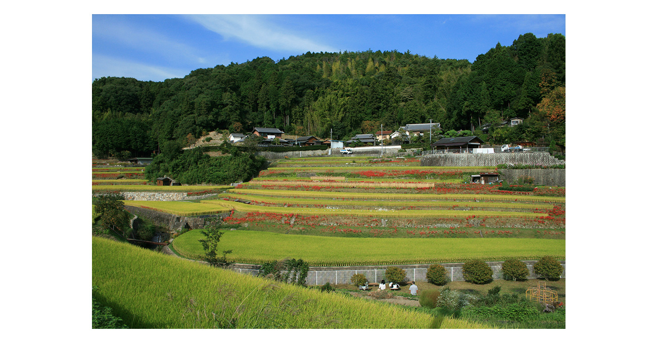 北大阪商工協同組合 地域・いきいき・中小零細パワー